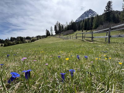 Bild 16 aus Riatschhof
