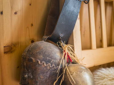 Bild 99 aus  Pöllitzgut