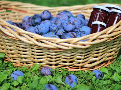 Hausgemachtes aus den Früchten vom Krösshof