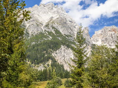 Bild 49 aus  Pochergütl