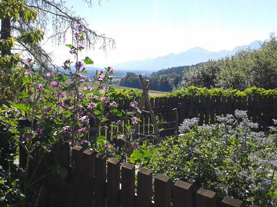 Bild 13 aus  Schusterhof