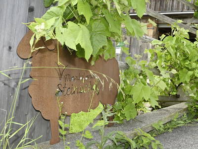 Bild 89 aus  Biohof Mathies