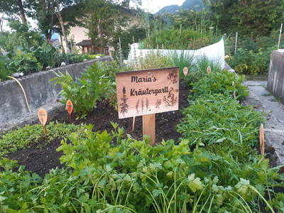 Bild 48 aus  Ferienhaus Althagerhof