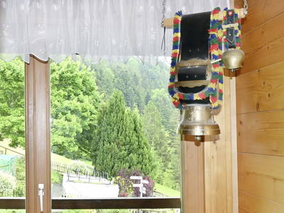 Bild 26 aus Ferienbauernhof Fessler