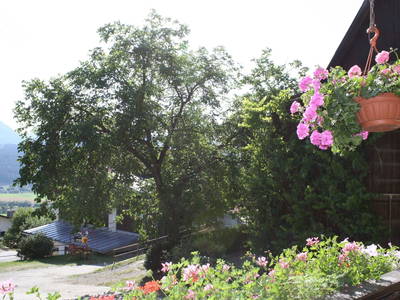 Bild 78 aus  Hoferhof