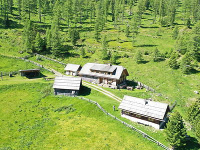 Bild 277 aus  Wolfsbachhütte