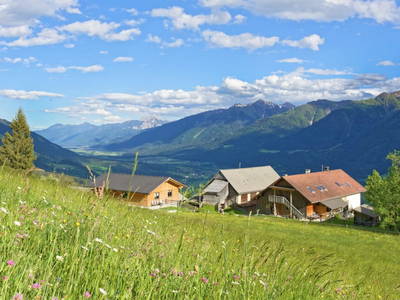 Bild 49 aus  Panoramahof am Goldberg