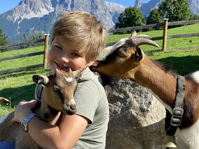 Bild 5 aus  Ederbauer