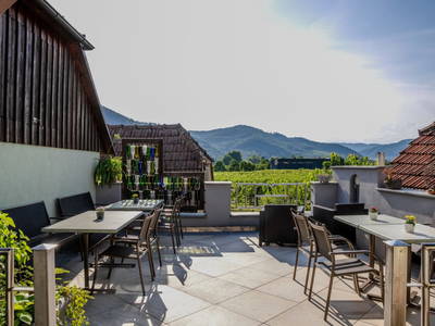 Bild 82 aus  Winzerhof Mörtinger