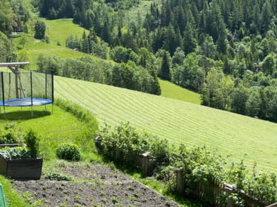 Bild 5 aus  Bio-Bergbauernhof Möslhof
