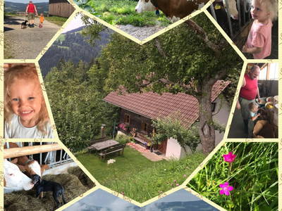 Bild 15 aus  Schoberkogelhütte