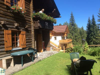 Bild 11 aus  Almhaus Gisela