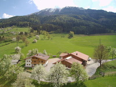 Bild 5 aus  Taxengut