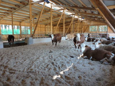 Bild 28 aus  Forstbauer