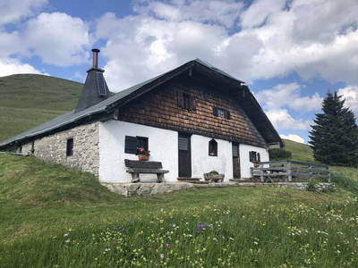 Bild 15 aus  Grubsteigalmhütte am Trattberg