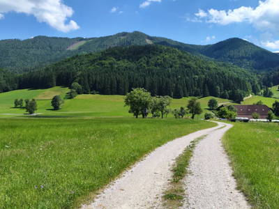 Bild 11 aus  Sebaldus Camping - Bio-Bauernhof Grubbauer