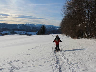 Bild 21 aus  Hirmhof