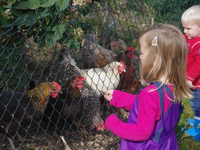 Bild 4 aus  Oberer Rechtgrabenhof