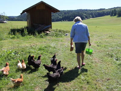 Bild 91 aus  Dichtlhof