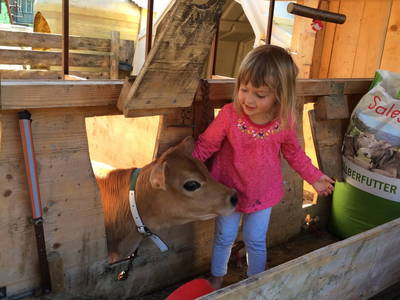 Bild 34 aus  Ferienbauernhof Kohler