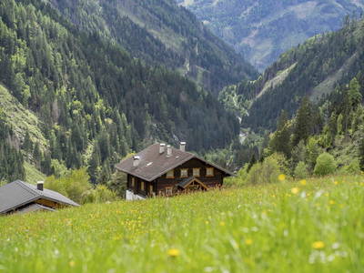 Bild 103 aus  Niederarnigerhof