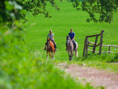 Bild 16 aus  Ferienwohnungen Seehof am Waginger See