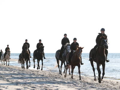 Bild 3 aus  Bernsteinreiter Hirschburg