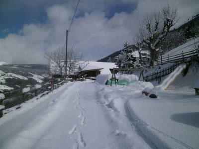 Bild 75 aus  Sportbauernhof Hochalmblick