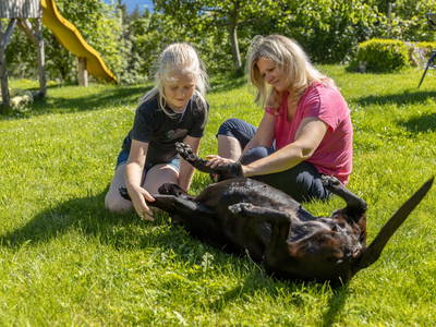 Bild 19 aus  Demobetrieb Bauernhof