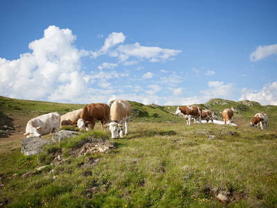 Bild 32 aus  Sandrisser Hütte