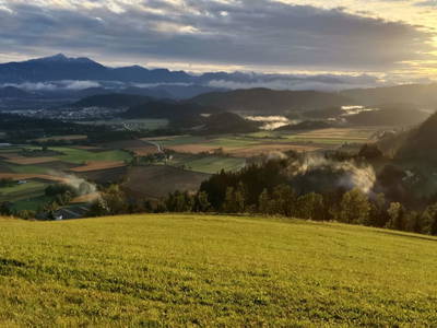 Bild 2 aus  Bio Bauernhof Kräuter