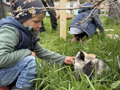 Bild 51 aus  Bergerhof