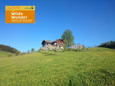 Bild 2 aus  Bio Bauernhof Kurzeck