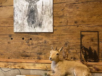 Bild 32 aus  Linsingerhof