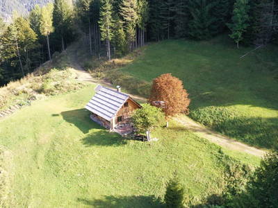 Bild 45 aus  Almhütte Meierle