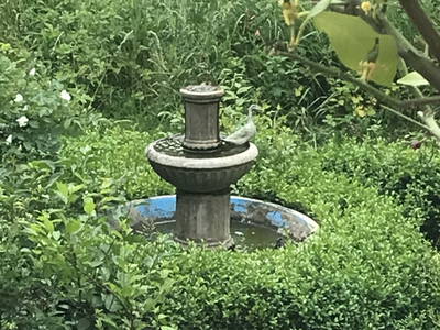 Bild 22 aus  Luminohof