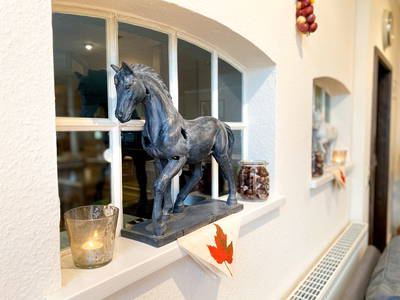 Bild 4 aus  Ferienhof Frieslandstern