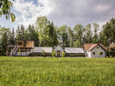 Bild 2 aus  Gut Hornegg