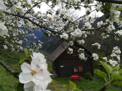 Bild 19 aus  Ewisleitner