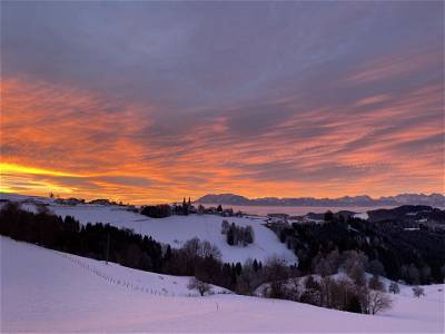 Bild 20 aus Romnighof Bauerngenuss im Süden
