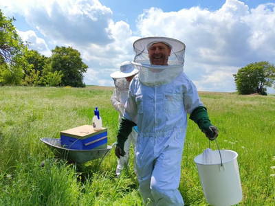 Bild 26 aus  Ferienhaus Weinmeyer 