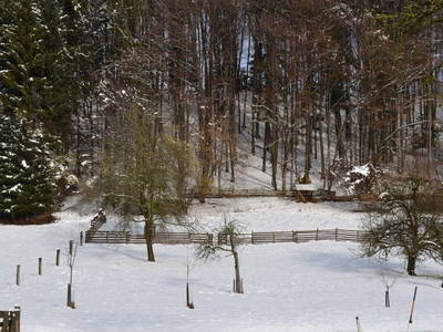 Bild 148 aus  Kaspergut