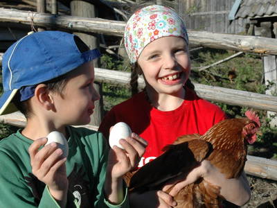 Bild 56 aus  Panoramahof am Goldberg