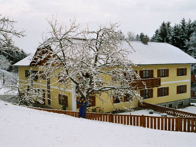 Bild 40 aus  Gesundheitsbauernhof