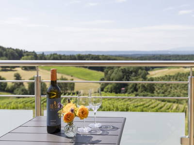 Bild 65 aus  Weinhof Reichmann