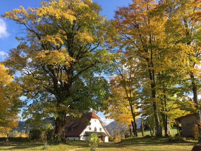 Bild 69 aus  Die Hinterbreiteneben - Natur, Alleinlage & Ski