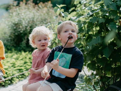 Bild 44 aus  Biobauernhof Aubauer