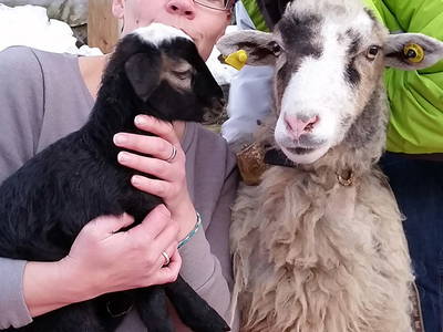 Bild 9 aus  Farnbauernhof