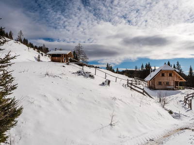 Bild 96 aus  Almchalet Nikola