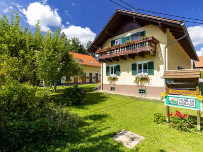 Bild 2 aus  Staudenschuster